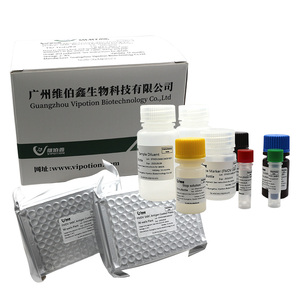 <span class=keywords><strong>ELISA</strong></span>-Kit für Antikörper gegen das Virus der Infektiösen Blasenflechte (IBD) für Geflügel – VIUICK Veterinär-Diagnostiktest, einfache Anwendung - Product Image 1