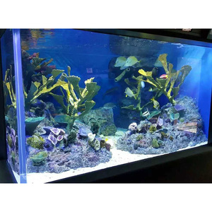 Grand aquarium en acrylique écologique et durable à haute transmission de la lumière Grand aquarium en acrylique pour aquarium - Product Image 4