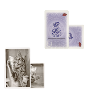 Cartes d'identité vierges en polycarbonate, anti-contrefaçon, cartes en polycarbonate pour artisanat - Product Image 3