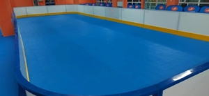 Valla <span class=keywords><strong>de</strong></span> Protección para Hockey sobre Patines y <span class=keywords><strong>Floorball</strong></span>, Reja <span class=keywords><strong>de</strong></span> Seguridad, Barandilla, Muro <span class=keywords><strong>de</strong></span> Protección, Tubo Galvanizado en Caliente + Placa <span class=keywords><strong>de</strong></span> PE 101/120CM*200CM - Product Image 5