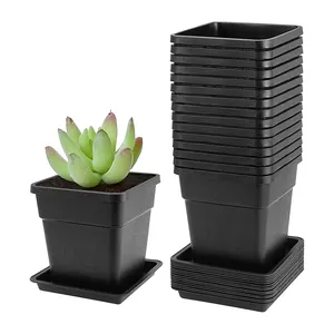 Flower Pots Desktop Potted Plants Succulents planters home decor square Flowerpot Black Mini Plastic Flower Pots