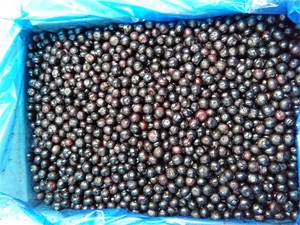 Quả Việt Quất đông lạnh tự nhiên cá nhân nhanh chóng đông lạnh (iqf) cho đồ ăn nhẹ lành mạnh và nướng - Product Image 3