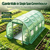 Serre tunnel en plastique PE 300x300x200 professionnelle de Chine, écologique, pour jardin, avec structure métallique traitée sous pression
