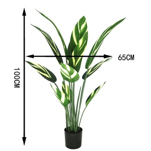 ต้นกล้วยเทียมสูง 100 ซม. พร้อมกระถาง - Product Image 2
