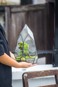 Không thường xuyên gần hình học thủy tinh bán buôn Acrylic <span class=keywords><strong>Terrarium</strong></span> bò sát PVC Acrylic Pet lồng DIY trang trí nội thất tường nghệ thuật để nhà máy Terra - Product Image 4