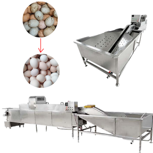 Laveuse et trieuse d'œufs en acier inoxydable pour volailles, canards et poulets, machine de nettoyage des coquilles d'œufs et de pesage - Product Image 4