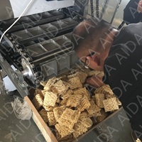 Ligne de production entièrement automatique de nouilles instantanées (frites et non-frites) avec mélangeur, friteuse et four de cuisson, haute capacité pour le traitement des céréales