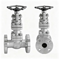 Vanne à soupape forgée en acier inoxydable 304 PN20, filetage femelle/raccord à souder, OEM pour l'industrie pétrolière et gazière, chimique, alimentation en eau et drainage