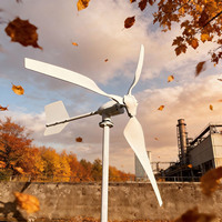 2000W Komplettes Horizontales Windturbinen-Set, 24V/48V 3-Blatt Dreiphasiger AC Permanentmagnet-Windgenerator mit MPPT