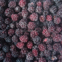 IQF Diepvries Zwarte Bessen Hele Premium Bessen 70% Zwart 30% Rood Verhouding BRC Gecertificeerd Bulk Diepvries Fruit voor Smoothies Bakkerij