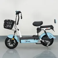 Bicicleta Eléctrica para Adultos, 500W, 48V, 20ah, Motor sin Escobillas, Batería de Plomo-Ácido