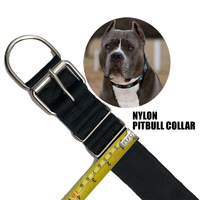 Collier de luxe classique en nylon solide pour chien Pitbull, laisse de 2 pouces avec éclairage LED, équipement d'entraînement robuste et résistant aux chocs