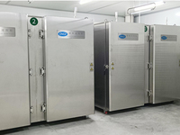 Armoire à azote liquide à prix compétitif Congélateur surgelé instantané à congélation rapide pour Durian