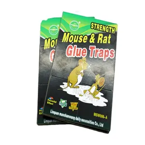 制造商老鼠害虫防治产品粘性老鼠捕鼠器胶板在房子里捕捉老鼠