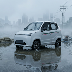 Quadricycle compact homologué à 4 roues, 3000W, avec batterie à courant alternatif, portes passagers, véhicule électrique fermé pour usage domestique et urbain en Europe, homologué L7e - Product Image 1
