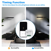 Produk Rumah Pintar Mini Tuya WiFi Smart Life Timer 2 Arah Lampu LED Dimmable Dimmer Saklar Pintar