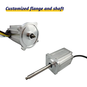 80mm 24V 48V 310V 3000rpm 200W 300W 500W 600W 800W 900W 1000W không chổi than DC chiều dài tùy chỉnh - Product Image 2