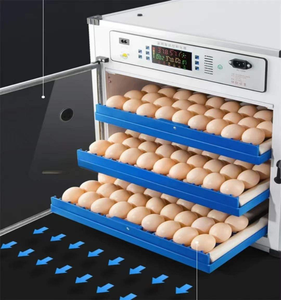 Incubadora de Huevos de Alta Calidad, 220V Doble Voltaje, 12V, Capacidad para 340 Huevos, Tasa de Eclosión del 98%, Entrada de Agua Automática, Bandeja - Product Image 3