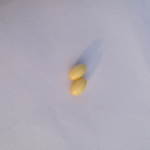 Capsules de <span class=keywords><strong>gelée</strong></span> <span class=keywords><strong>royale</strong></span> organique, 1 pièce, matière douce de haute qualité - Product Image 3