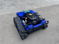 Nouvelle Arrivée EPA Mini Tondeuse Robotisée RC à Essence pour la Coupe de l'Herbe