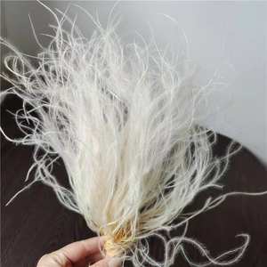 Herbe de la Pampa PPL65 Stipa à Couleurs Dégradées pour Décoration de Mariage et d'Intérieur – Fleur Éternelle pour Composition, Plume Naturelle - Product Image 3