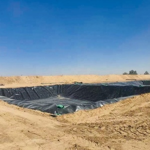Trang Trại Cá Chất Lượng Tốt Nhất Vật Liệu Chống Thấm HDPE Màng Địa Kỹ Thuật Pond Liner Với Giá Rẻ - Product Image 4