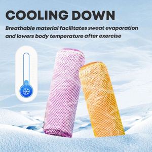 Customized Ultra-fine Fiber Sports Cooling Towel Highly Absorbent Dries Quickly Sweat-catching Gym <b>Backpack</b> - Product Image 4