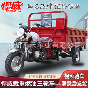 Tricycle agricole à trois <span class=keywords><strong>roues</strong></span> à benne basculante, véhicule utilitaire à carrosserie ouverte, pouvant être homologué pour usage domestique - Product Image 3