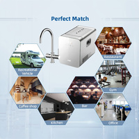 Robinet mélangeur 5 en 1 en acier inoxydable, machine à soda, machine à soda gazeuse commerciale sous l'évier, distributeur d'eau gazeuse
