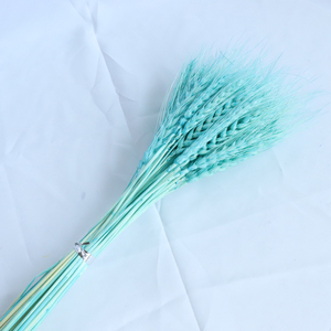 <span class=keywords><strong>Bouquet</strong></span> d'herbe séchée du Yunnan, plantes naturelles, oreilles <span class=keywords><strong>de</strong></span> <span class=keywords><strong>blé</strong></span> véritable, multicolores, <span class=keywords><strong>mariage</strong></span>, fête des mères, Pâques, Noël, Halloween, maison - Product Image 3