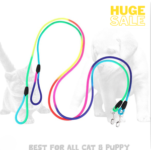 Correa de Entrenamiento Rainbow para Perros y Gatos - Product Image 2