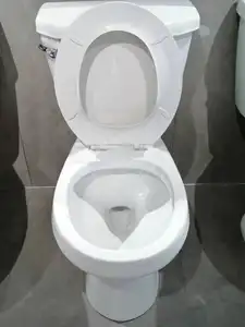 볼리나 도매 가격 공장 사이펀 타입 Commode 위생 도자기 프로젝트 용 2 피스 화장실