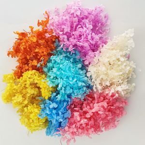 5g colorati veri secchi favolosi petali di ortensie conservati per il matrimonio - Product Image 6