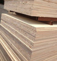 Panneaux de contreplaqué de haute qualité 4*8 12/15/18mm en bois d'ingénierie Bintangor avec placage mélaminé/HPL pour la fabrication de meubles