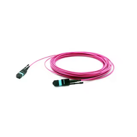 Câble Trunk MPO femelle 24F 3,0 mm LSZH 12-144F MPO-MPO, conducteur en cuivre nu, garantie 3 ans, extérieur FTTX Gpon Olt Pigtail