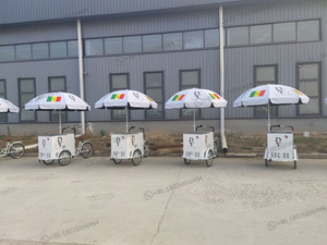 Carrito de Venta Ambulante Bicicleta Solar para Helados con Batería Triciclo Carrito de Helados Carrito Bicicleta para Jugos y Bebidas - Product Image 6