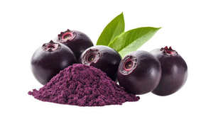 High Quality 99% Acai Berry Extract Powder Bulk <b>Plant</b>-Based Fruit Powder Food Grade Solvent Extracted Drum Smoothies Bakery - Product Image 4