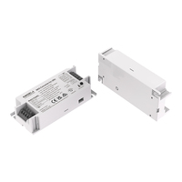 Batería de Respaldo LED de Emergencia Directa de Fábrica 1W 2W 3W, Modo Dual, Autoprueba, LiFePO4 para Panel de Luz, Downlight, CB SAA