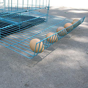 <span class=keywords><strong>Poulailler</strong></span> extérieur portable en métal pliable-Rouleau d'oeufs automatique incliné à <span class=keywords><strong>15</strong></span> ° 60x42x53cm/70x50x62cm <span class=keywords><strong>Poulailler</strong></span> galvanisé pour <span class=keywords><strong>poules</strong></span> pondeuses - Product Image 5