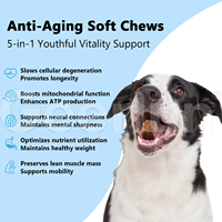 Complément alimentaire anti-âge pour chiens, marque personnalisée OEM, favorise la masse musculaire et la mobilité, comprimés à mâcher NAD+