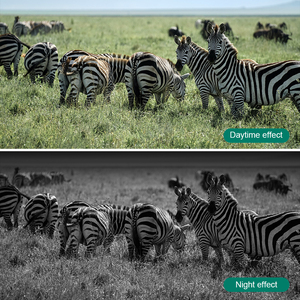 กล้องล่าสัตว์กันน้ำ1080P กล้องติดตามสัตว์ป่าในเวลากลางคืนกล้องติดตามสัตว์ป่ากลางแจ้งสำหรับลายหมีจิ้งจอกกวาง - Product Image 5