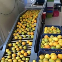 Anxu Mango Sinaasappelpers Type Motor Kerncomponent 75kw 2000KG voor Fruit- en Groenteverwerkingsbedrijf Vruchtensapvulmachine