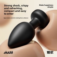 Vente en gros usine : Masseur de prostate à forte vibration, Plug anal vibrant, Dispositif de masturbation, Jouet sexuel pour adultes pour le plaisir