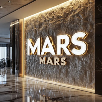 Letrero acrílico personalizado con iluminación frontal LC, letras de canal 3D iluminadas con LED, letrero LED de señalización comercial para exteriores resistente a la intemperie para negocios