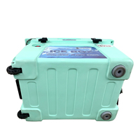 Glacière isotherme en plastique TOLEE TOLLEE 40L pour le camping en plein air et le stockage de vaccins