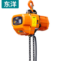 Grue de levage de type sac de palan à chaîne électrique avec logo personnalisable avec hauteur de levage réglable