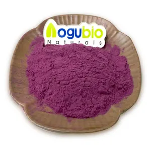 AOGUBIO Organic Natural Fruit Powder Bulk OEM Private Label Organic Acai Berry Powder