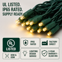 Lampu String LED Mini 5MM Sudut Lebar Cekung untuk Natal dengan Colokan Koaksial AS/Kanada Panjang 25FT Berperingkat IP65 Mudah Dipasang