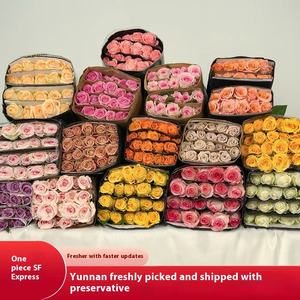 Rosas frescas cortadas de Kunming para regalo de maestro de boda o puesto de diosa directo a granel al por mayor de jardín para compra Grupal - Product Image 1