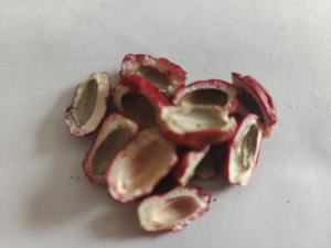 100% doğal mucize meyve dondurularak kurutulmuş mucize meyve toptan takviyeleri distribütörler - Product Image 4